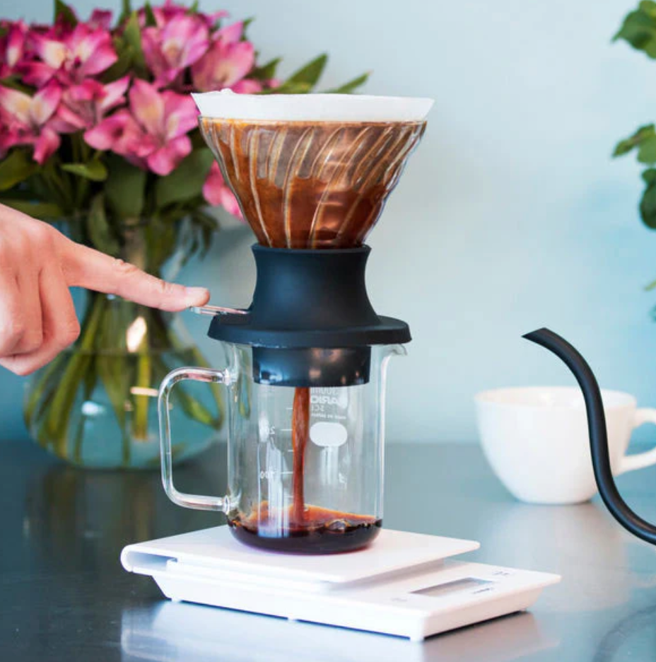 Hario Switch Immersion Coffee Dripper 02 - Glass