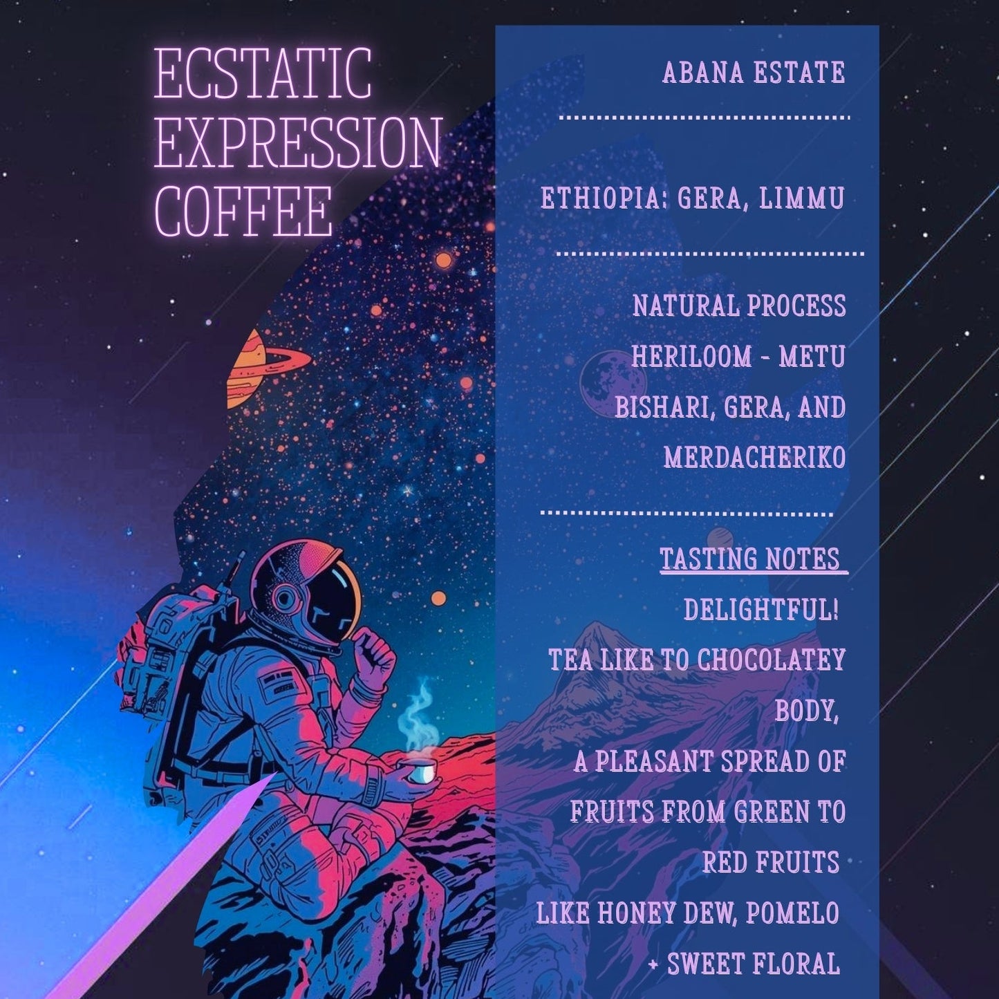 Ecstatic Expression - Ethiopian Abana Estate - Sun-Dried Natural Process