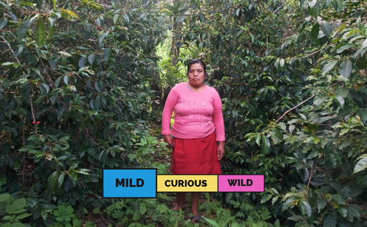 photo of coffee producer mexico las tejedoras